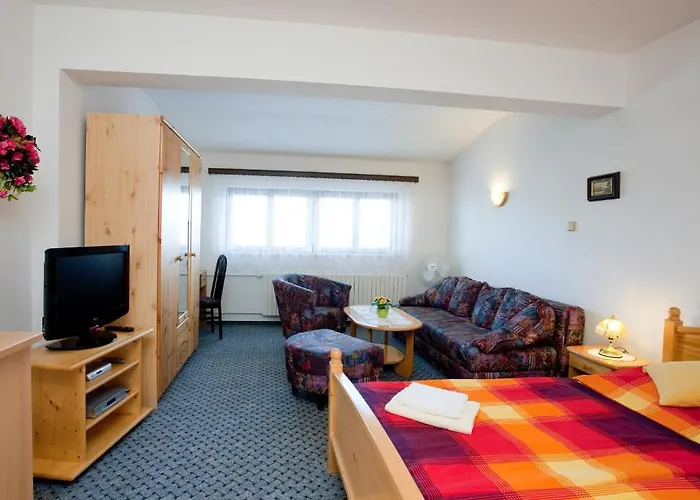 Minor 체스케부데요비체